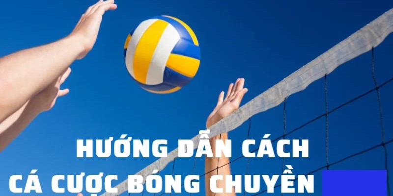 Lời khuyên hữu ích dành cho anh em tân thủ khi đặt cược bóng chuyền